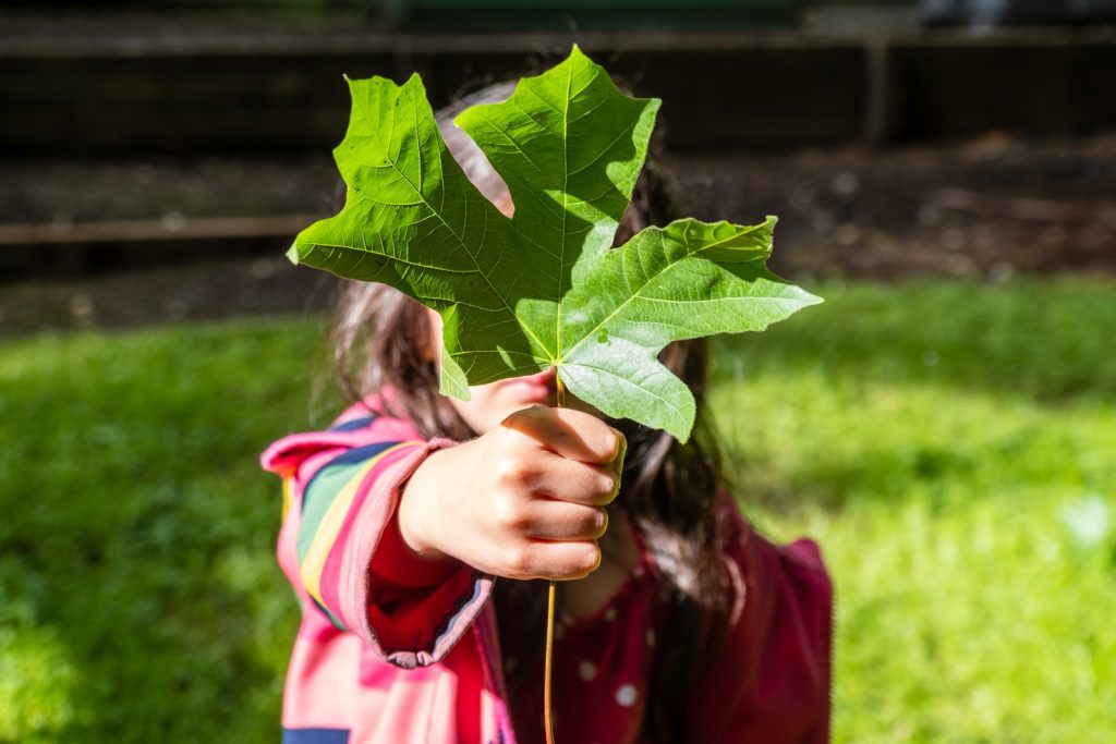 enfants et écologie information