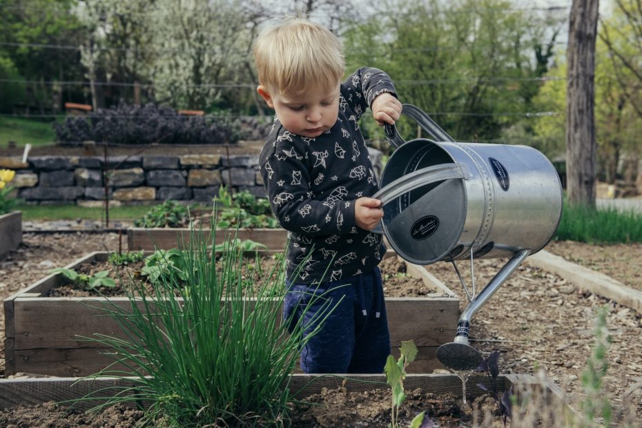 activités nature enfant