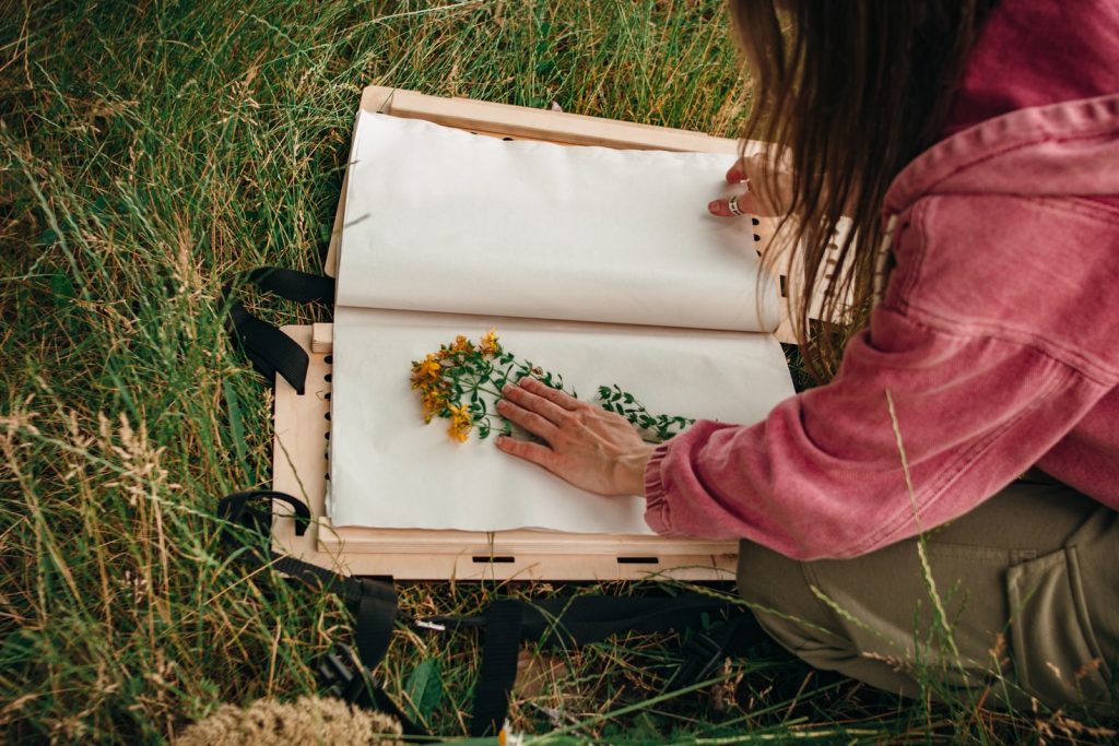 herbier nature enfant