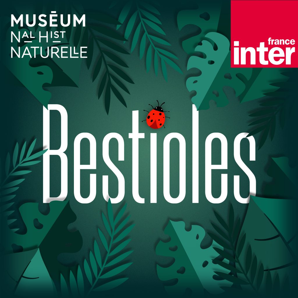 podcast Bestioles