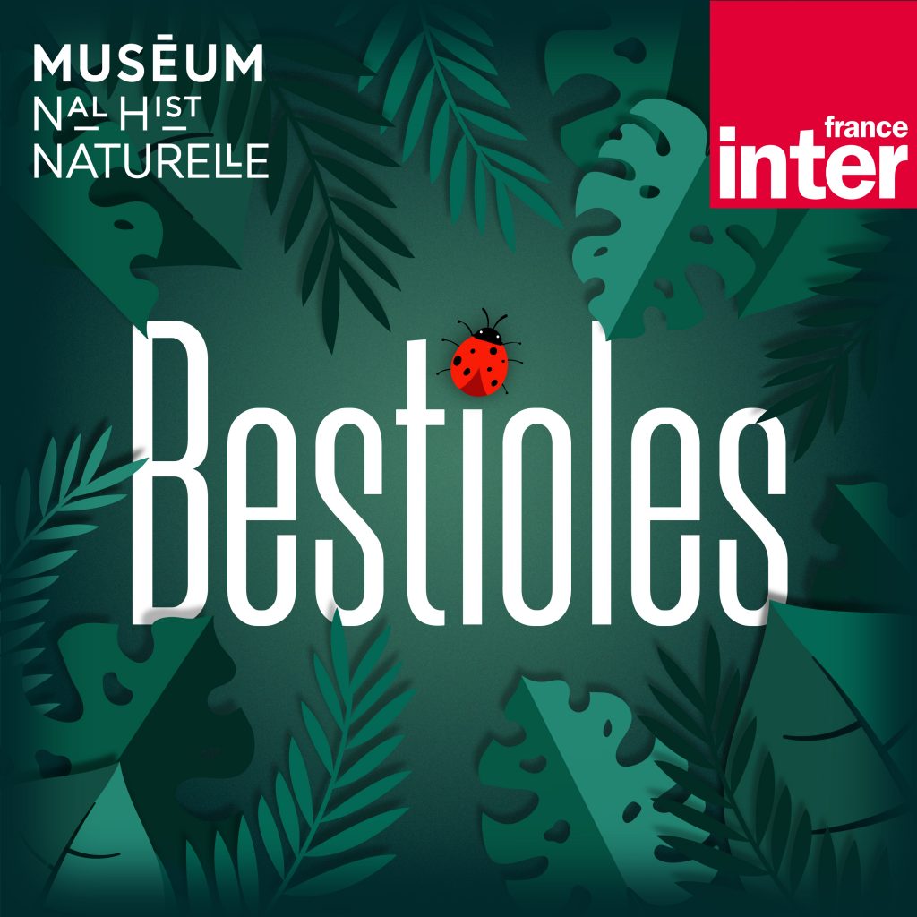 dialogue à partir du podcast Bestioles