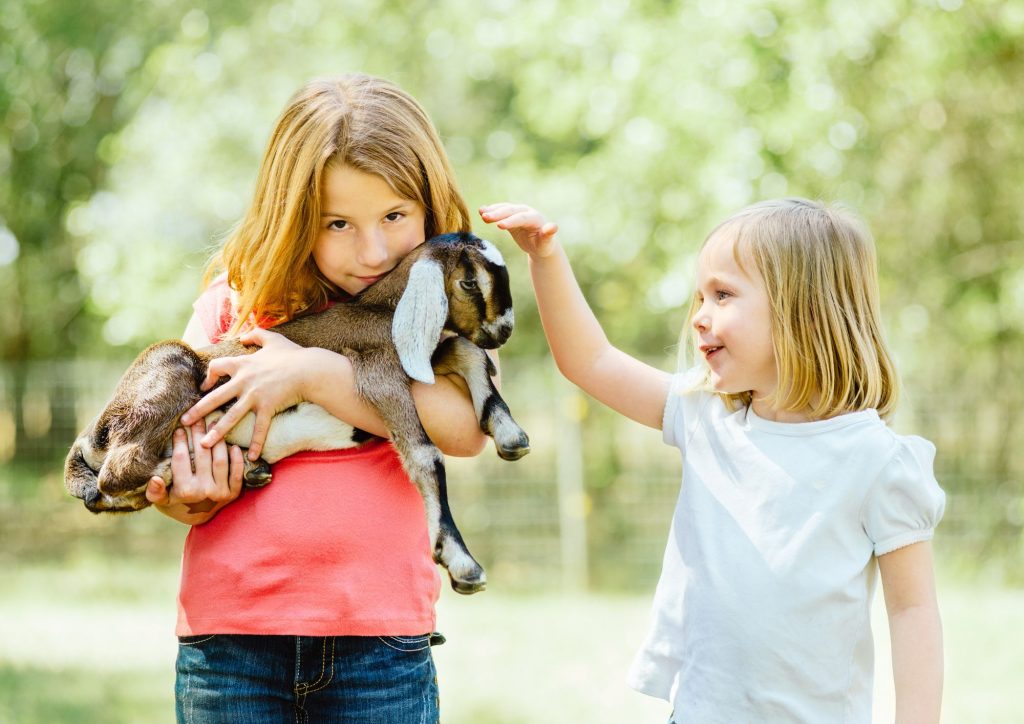 Enfants prenant soin d'animaux