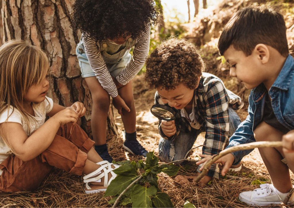 enfants dans la forêt