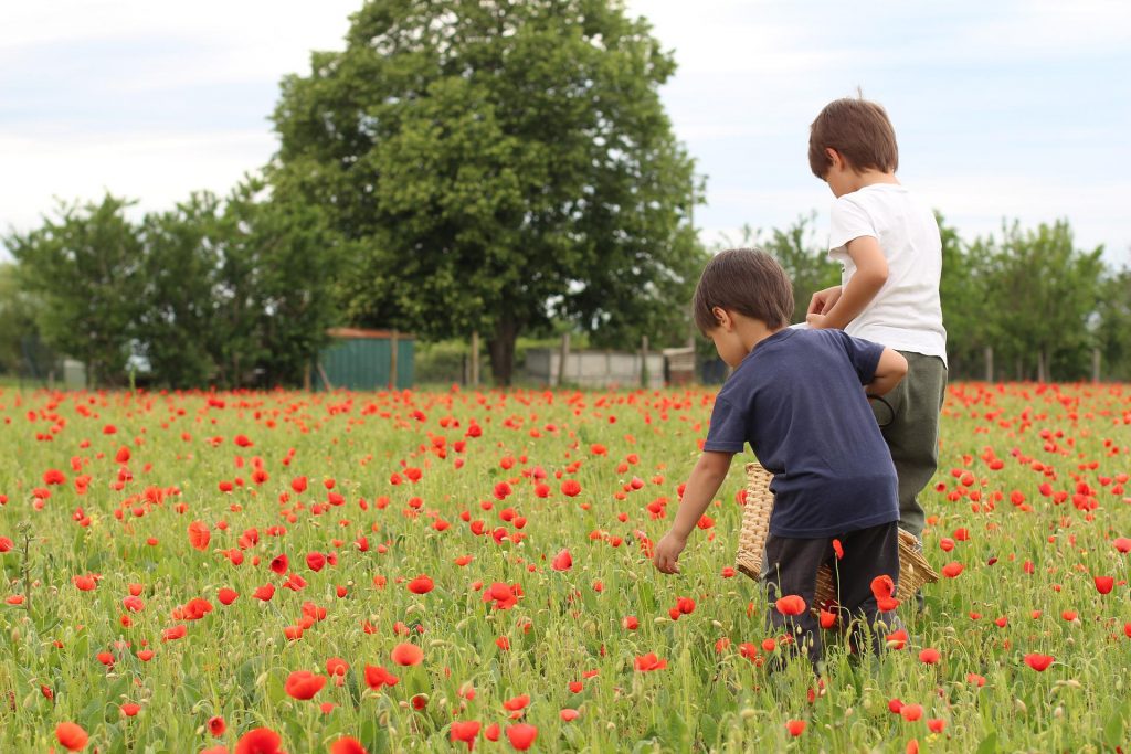 environnement enfants enceinte fabriquée en France