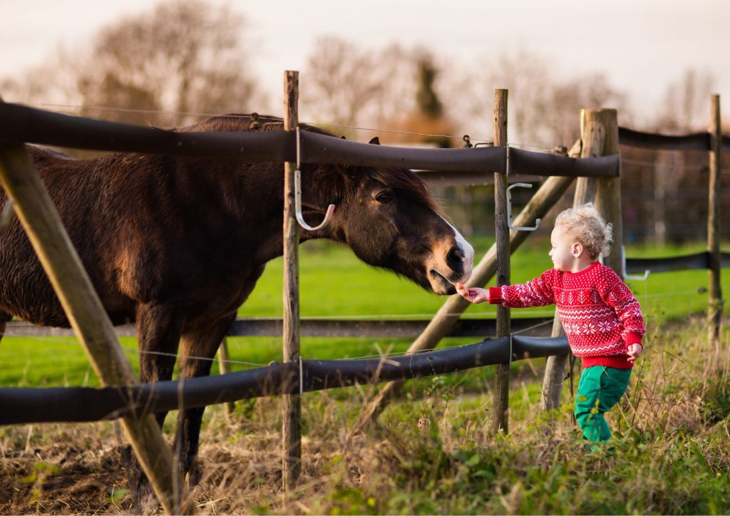 vacances nature avec les enfants