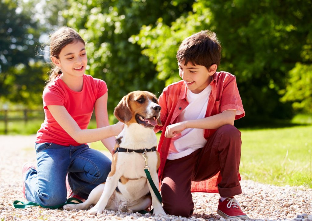 enfants qui s'occupent de leur chien