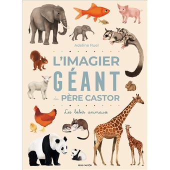 L'imagier géant du Père Castor Adeline Ruel