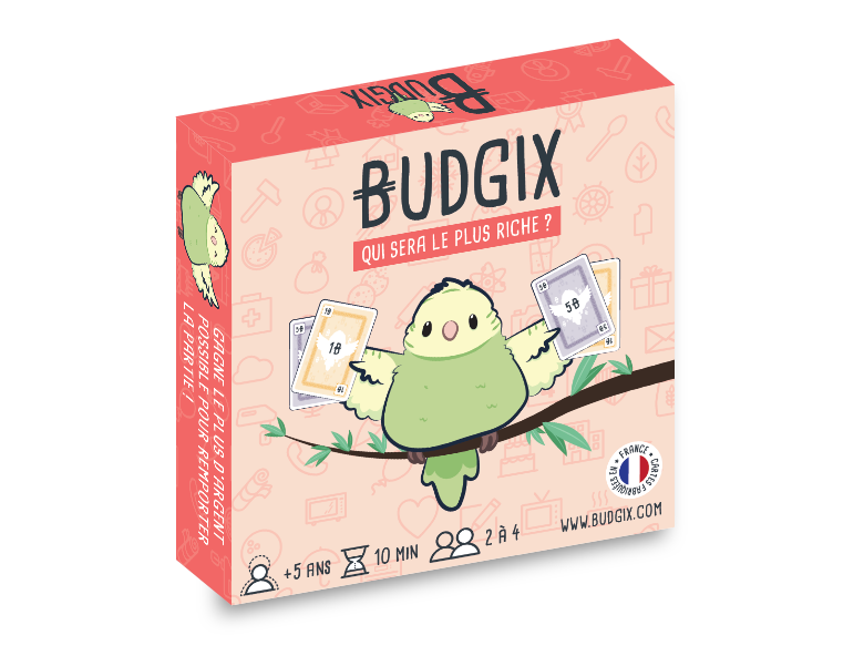 Budgix jeu de cartes enfants gestion budget