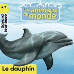 AniMonde_UN_DauphinNew_9791036340741