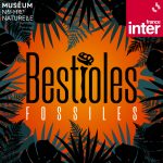 FI_Bestioles_Fossiles 700x700