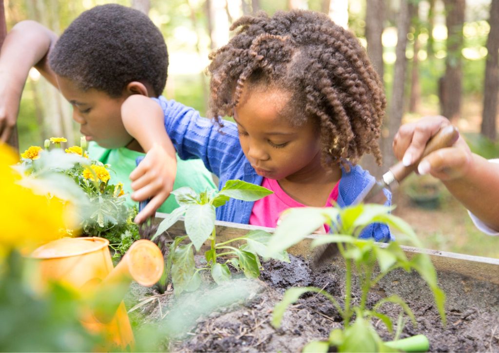 enfants qui apprennent dans la nature plein air