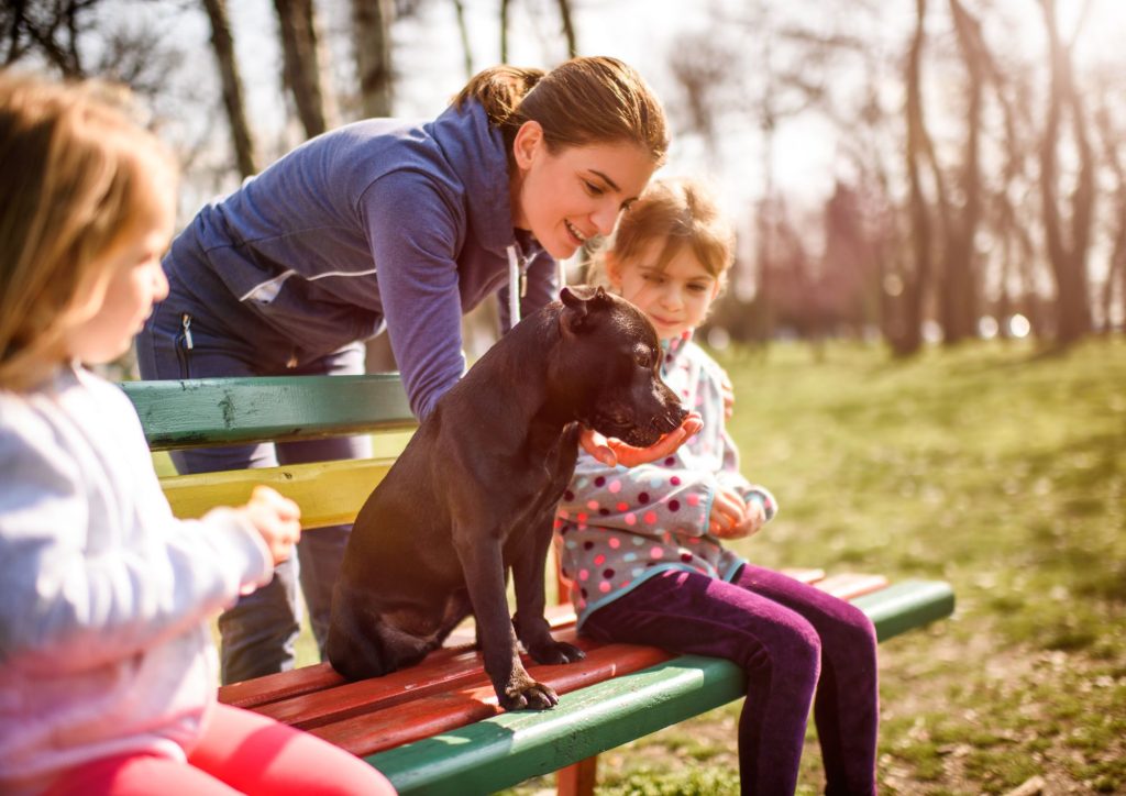 famille avec animal de compagnie
