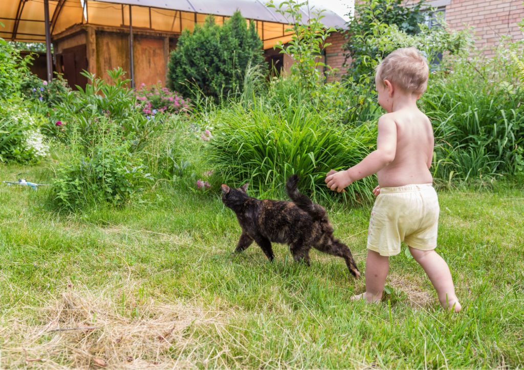 Bébé qui marche avec un animal de compagnie (chat)