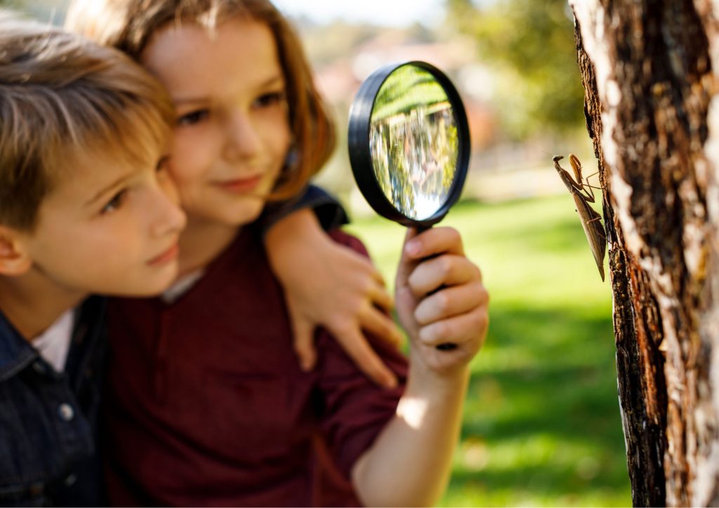 découverte nature enfants en plein air
