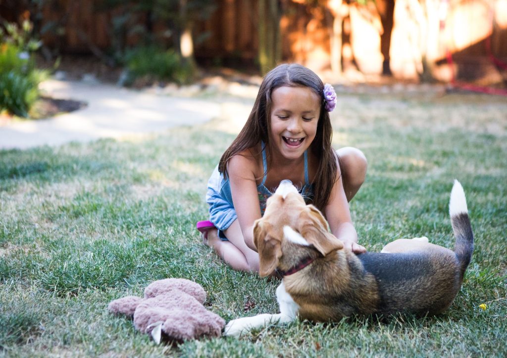 enfant qui joue avec un chien