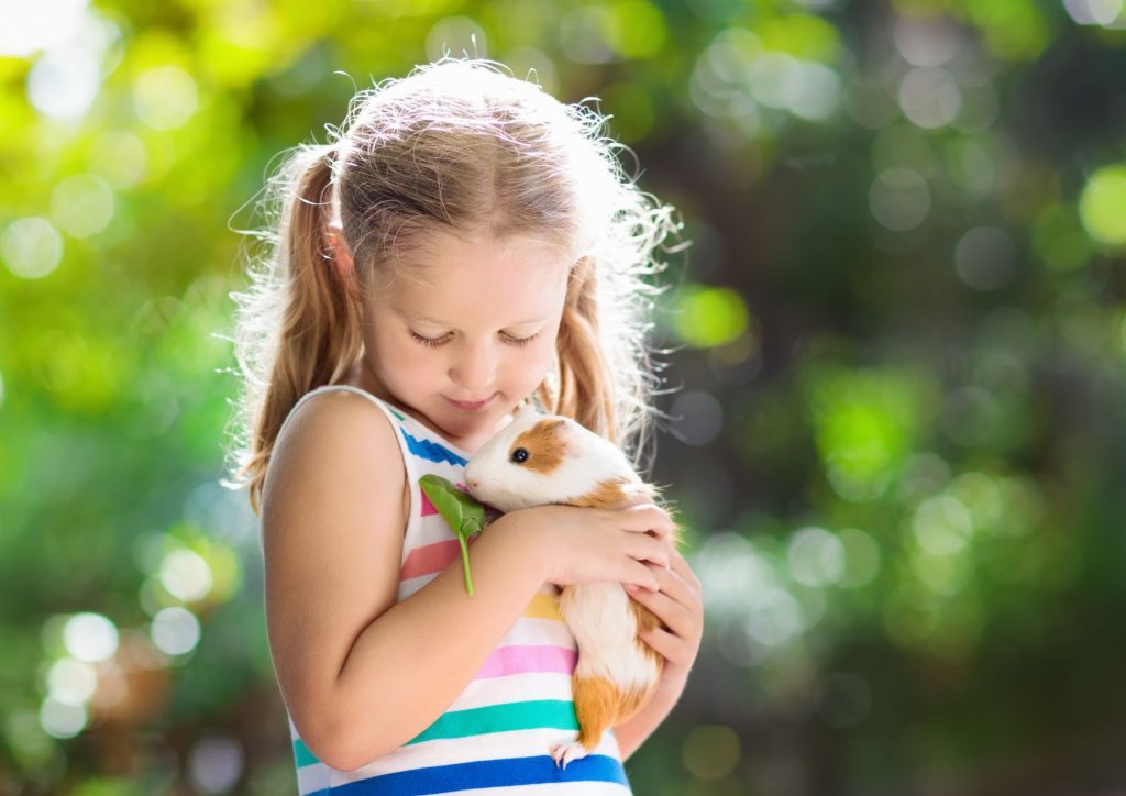 enfant avec un cochon d'Inde
