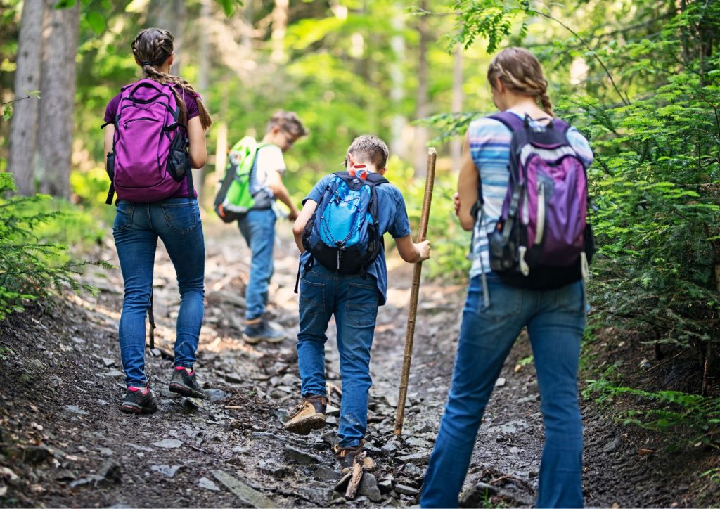 randonnée en forêt en famille
