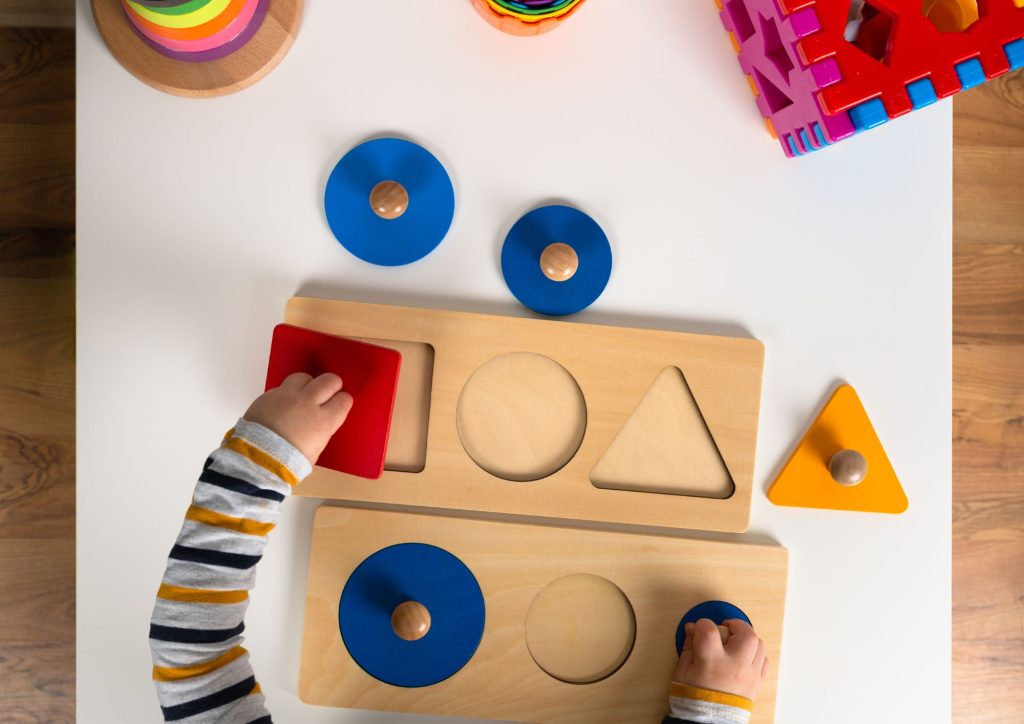 bébé raisonnement logique puzzle encastrement