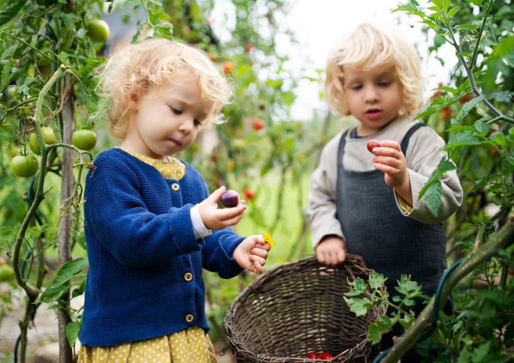 sensibiliser les enfants aux dangers du sucre
