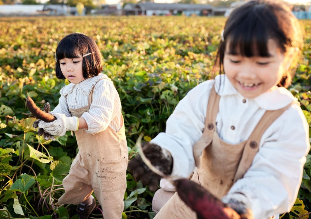 cueillette de légumes par des enfants