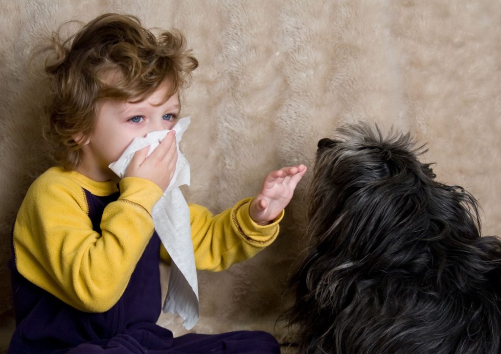 allergie aux squames d'animaux