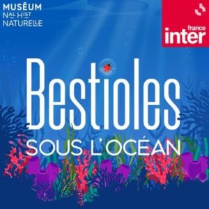 bestioles-océan