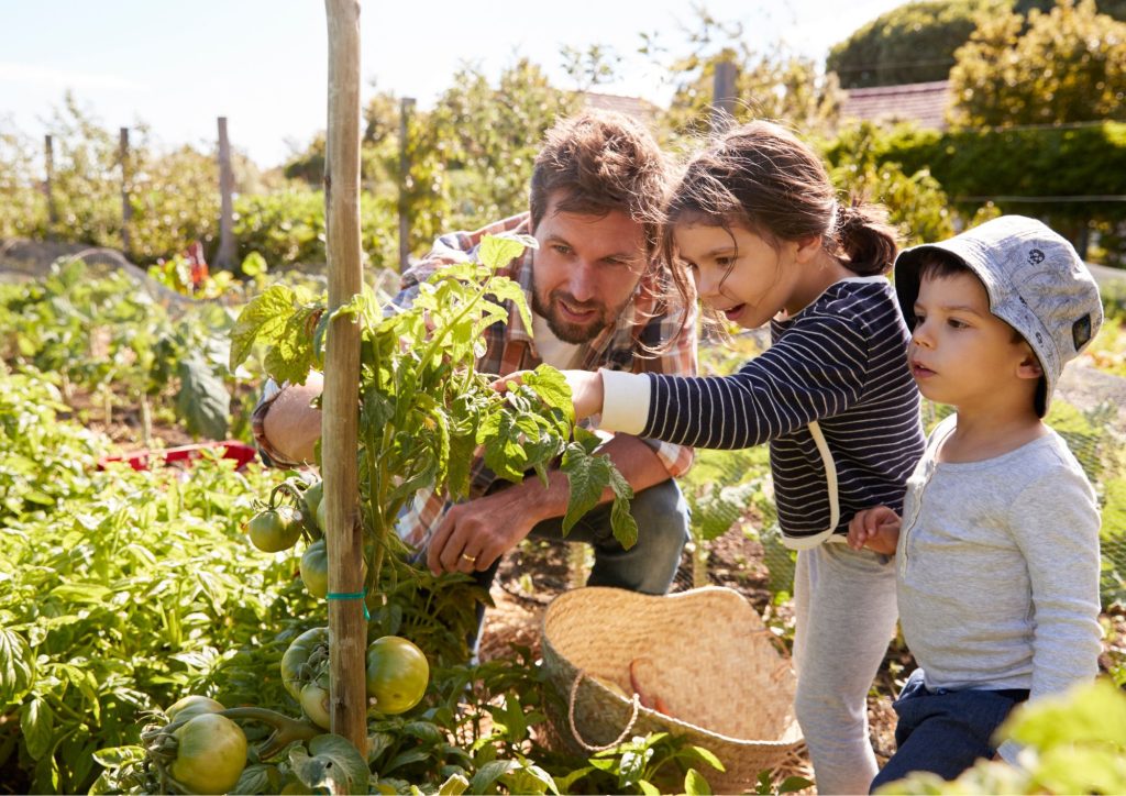 potager enfants