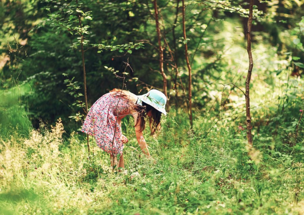 activités nature repos enfant fin d'année scolaire